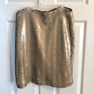 Sequin Skirt